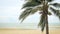 Coconut trees over beach cha-am thailand