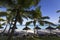 Coconut trees and parasols in Mauritius island