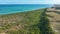 Coconut trees plantation near Gunga Beach at Maceio Alagoas Brazil.