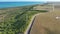 Coconut trees plantation near Gunga Beach at Maceio Alagoas Brazil.