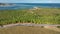 Coconut trees plantation near Gunga Beach at Maceio Alagoas Brazil.