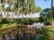 Coconut trees and reflection and small bridge