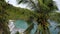 Coconut trees with tosca beach colored background