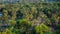 Coconut trees view from appartment Kerala