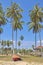 Coconut trees and wooden boat under blue sky