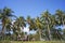 Coconut trees and wooden huts by the beach