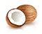 Coconut tropical nut fruit with cut. Eps10 vector illustration white background