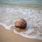 A coconut washed ashore on a tropical beach