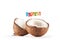 Coconut on white background. Fragmented coconut closeup. Topper inscription party