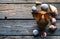 Coconut on a wooden background, seashells, stones, food, nature