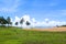 Coconuts in Easter Island, Chile