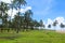 Coconuts in Easter Island, Chile