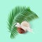 Coconuts, milk splash and palm leaves on a green mint background