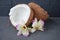 Coconuts with mint and orhid flowers, on dark background. Copy space.