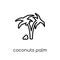 Coconuts palm tree of Brazil icon from Brazilian icons collectio
