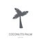 Coconuts palm tree of Brazil icon. Trendy Coconuts palm tree of