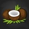 Coconuts with various coconut dish ideas and benefits coconut cake, coconut milk ice cream, handmade coconut oil. Vector