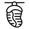 Cocoon maturation icon outline vector. Biology cocooning stage