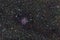 Cocoon nebula