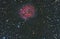 The Cocoon nebula, IC5146 a reflection and emission nebula in Cygnus