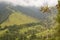 Cocora valley landscape. Los Nevados National Natural Park. Quindio department. Colombia