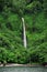 Cocos Island waterfall