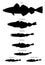 Cod fishes. Vector drawn silhouettes images collection.