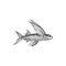 Cod flying fish with wings isolated ocean animal