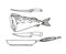 Cod, frying pan, fish knife, decorative elements for restaurant seafood menu