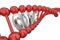 Code DNA Strand Word Heredity Genes