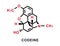 Codeine chemical formula. Codeine chemical molecular structure. Vector illustration