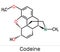 Codeine, opioid analgesic molecule. It is used as a central analgesic, sedative, hypnotic, antinociceptive, antiperistaltic agent