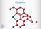 Codeine, opioid analgesic molecule. It is used as a central analgesic, sedative, hypnotic, antinociceptive, antiperistaltic agent