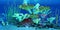 Coelacanth Fish Reef