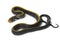 Coelognathus flavolineatus, the black copper rat snake or yellow striped snake,