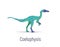 Coelophysis. Theropoda dinosaur. Colorful vector illustration of prehistoric creature coelophysis in hand drawn flat