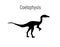 Coelophysiss. Theropoda dinosaur. Monochrome vector illustration of silhouette of prehistoric creature coelophysis