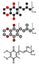 Coenzyme Q10 (ubiquinone, ubidecarenone, CoQ10) molecule, chemical structure. Plays an essential role in the production of