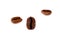 Cofee beans on a white background