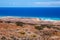 Cofete beach vegetation