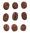 Coffe beans set