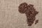 Coffe beans shaping Africa on burlap