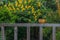 Coffee on balcony fence.