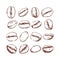 Coffee bean Isolated Hand drawn vector, sketch of coffee beans