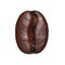 Coffee Bean isolated. Macro