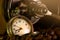 Coffee bean and pocket watch in manual grinder on table.