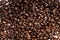 Coffee bean texture