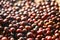 coffee beans berries drying natural process