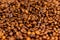 Coffee beans bright saturated texture. Roasted coffee beans background