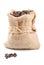 Coffee beans in canvas sack